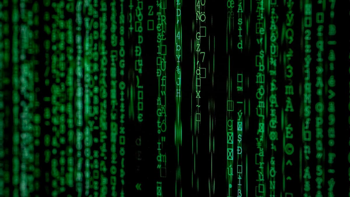 مقارنة بين تقنية Flutter والتطوير الأصلي Native لتطبيقات الجوال